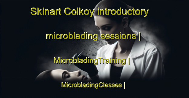 Skinart Colkoy introductory microblading sessions | MicrobladingTraining | MicrobladingClasses | SkinartTraining-Turkey